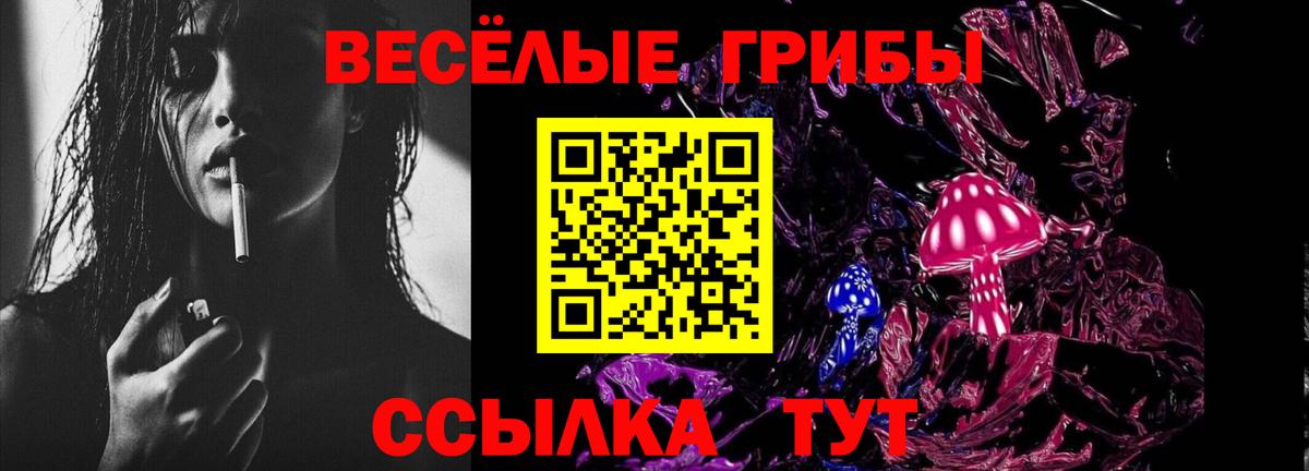 Галлюциногенные грибы Psilocybine cubensis Югорск